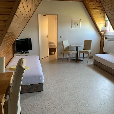 Gaestehaus An Der Rheinbruecke Altlussheim Extérieur photo