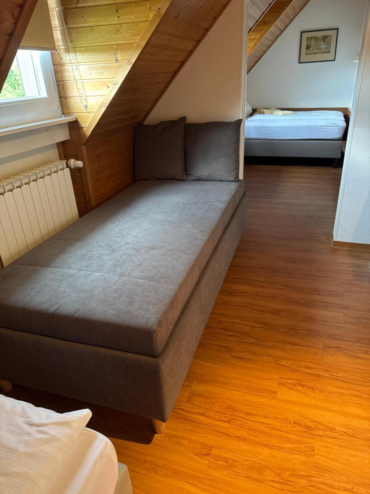 Gaestehaus An Der Rheinbruecke Altlussheim Extérieur photo