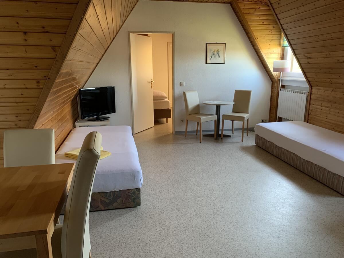 Gaestehaus An Der Rheinbruecke Altlussheim Extérieur photo